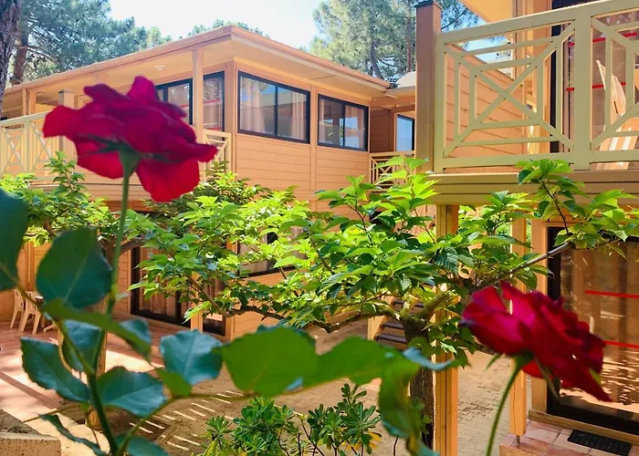 Residence Les Pins
