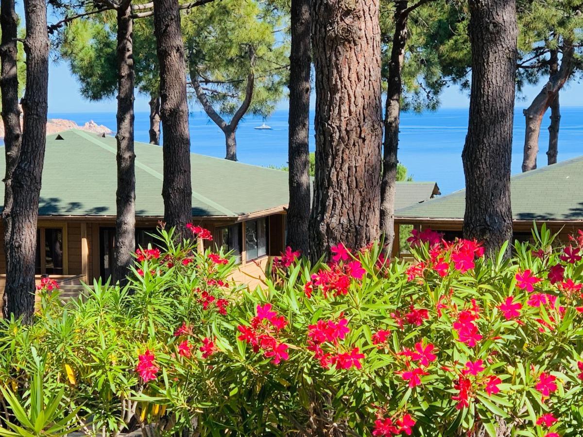 Les Pins Aparthotel Calvi (Corsica)