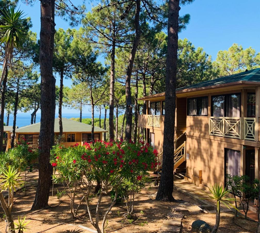 Les Pins