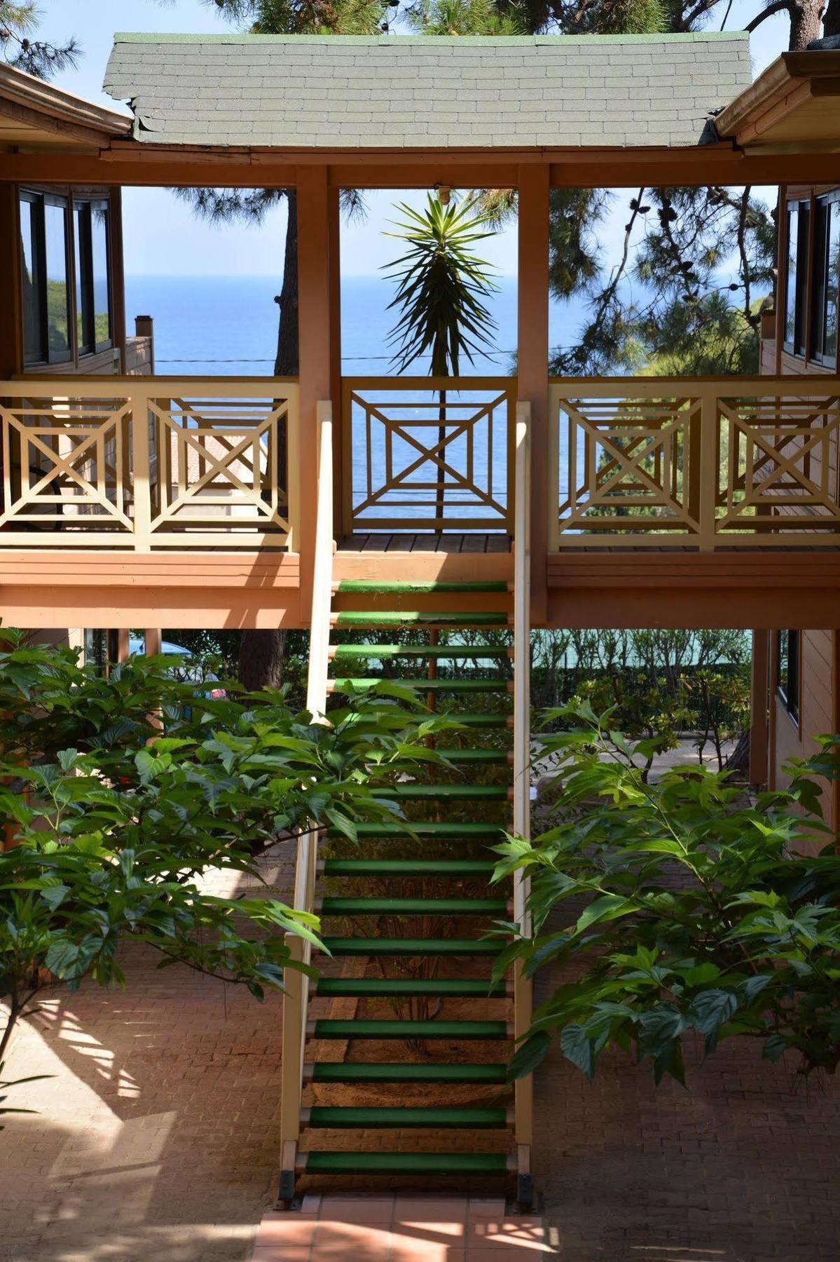 Les Pins Calvi (Corsica)